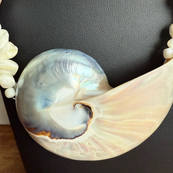 Exotic Chamber Nautilus Sea Shell Necklace. Beach Wear Formal Wear Boho.